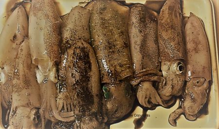 人が多かったです！